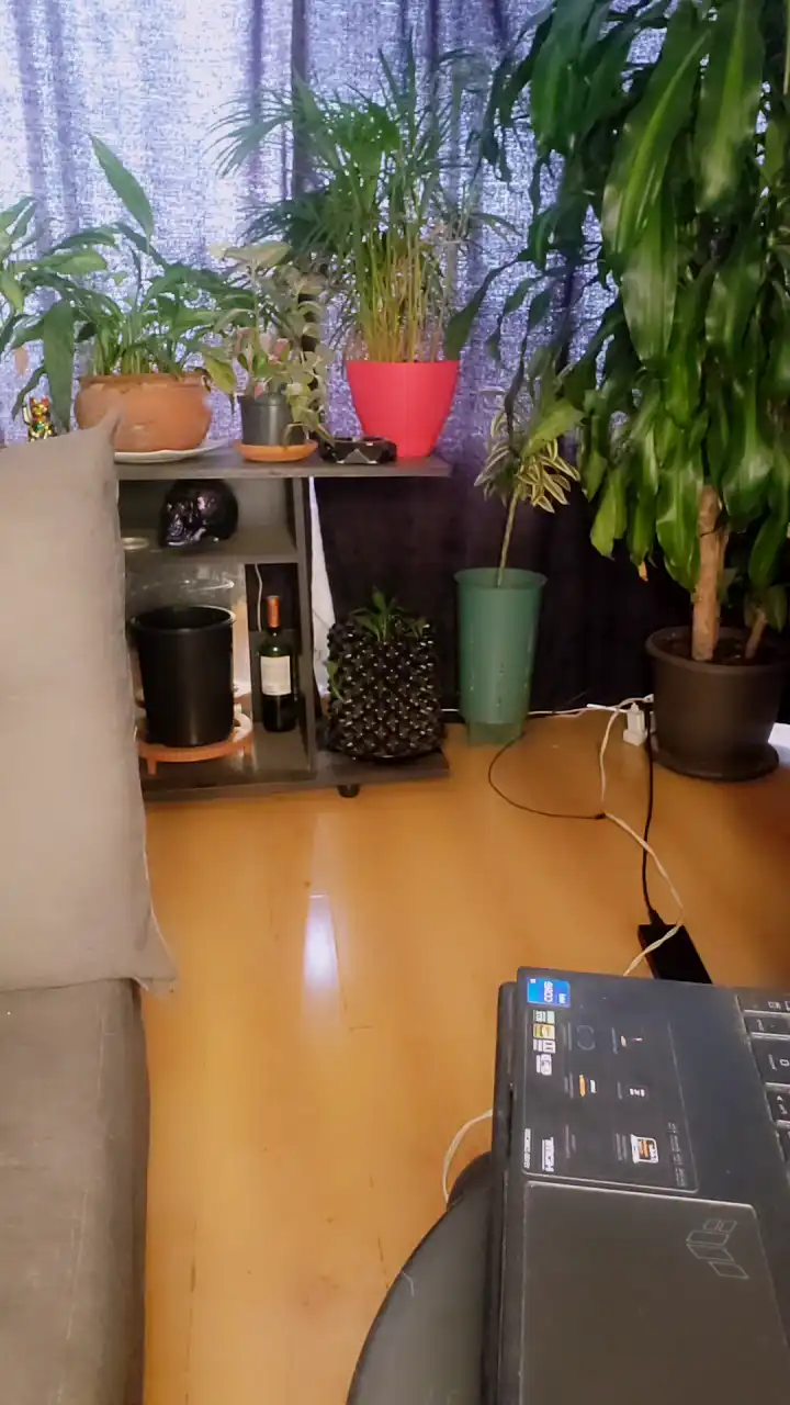 Roxannepiggy – Cam4Live Video Recording – 2025 01-26 18:30:59