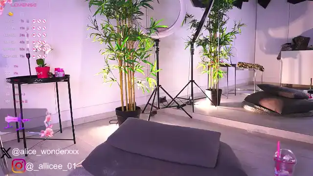 Vanesasimon – MyfreecamsLive Video Recording – 2025 01-21 14:06:33