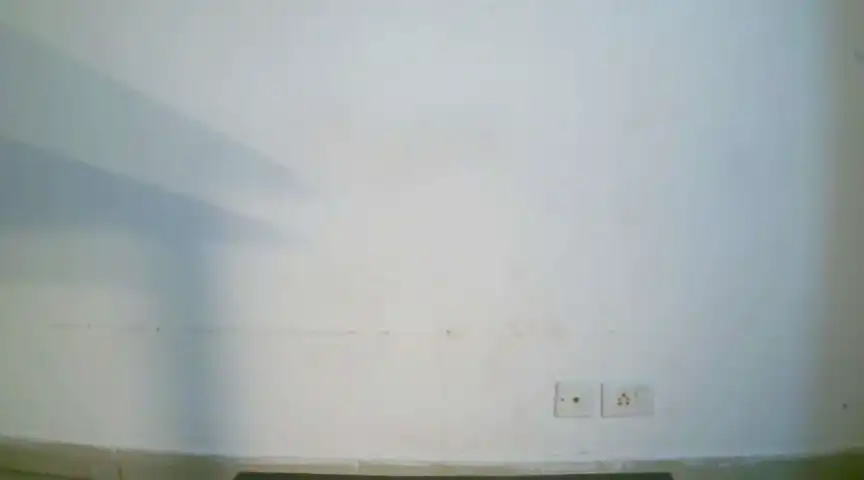 Collage_hoty – StripchatLive Video Recording – 2024 11-16 13:47:16