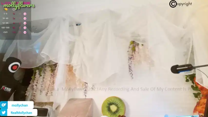 Mollyflwers – ChaturbateLive Video Recording – 2025 04-07 21:26:46