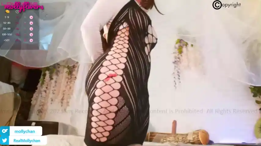 Mollyflwers – ChaturbateLive Video Recording – 2025 06-22 05:08:40