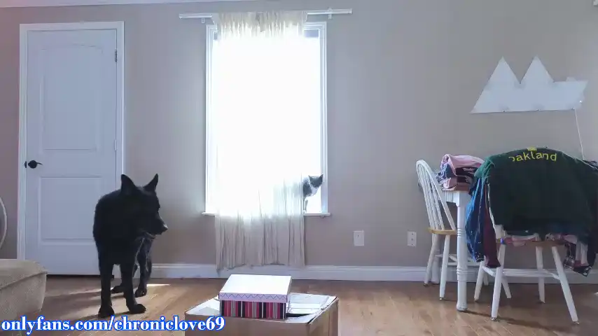 Chroniclove – ChaturbateLive Video Recording – 2025 06-12 01:31:22
