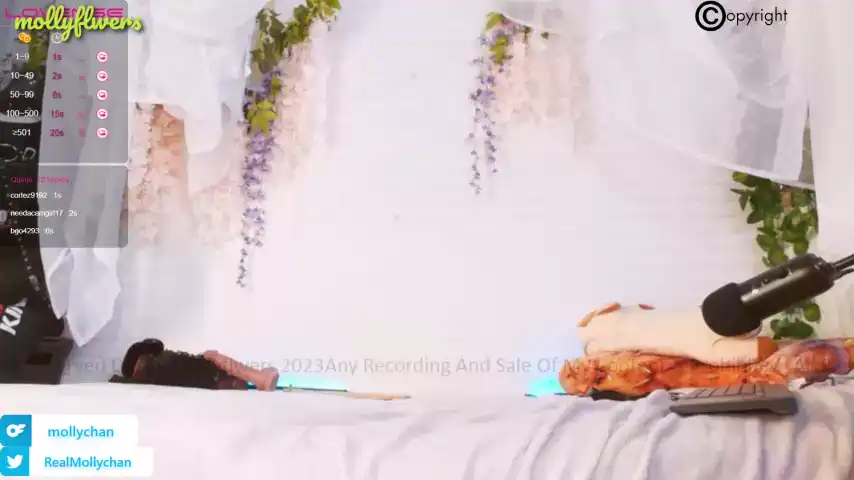 Mollyflwers – ChaturbateLive Video Recording – 2025 06-11 04:31:57