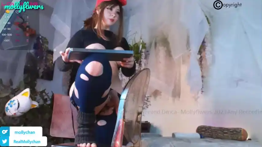 Mollyflwers – ChaturbateLive Video Recording – 2025 04-29 02:27:45