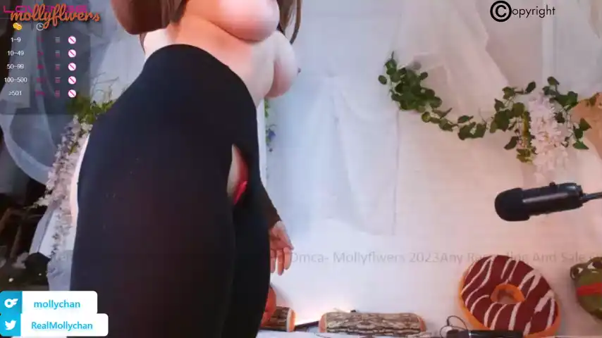 Mollyflwers – ChaturbateLive Video Recording – 2025 02-02 06:47:16