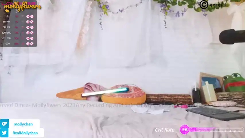 Mollyflwers – ChaturbateLive Video Recording – 2025 06-01 11:42:22