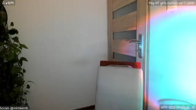 Mirbee – MyfreecamsLive Video Recording – 2025 06-10 22:48:60