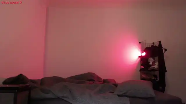 Roomtoavoid – MyfreecamsLive Video Recording – 2025 03-16 16:38:16