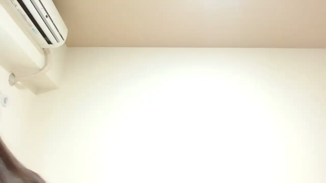 Harunawxw – SakuraliveLive Video Recording – 2025 03-01 09:31:11