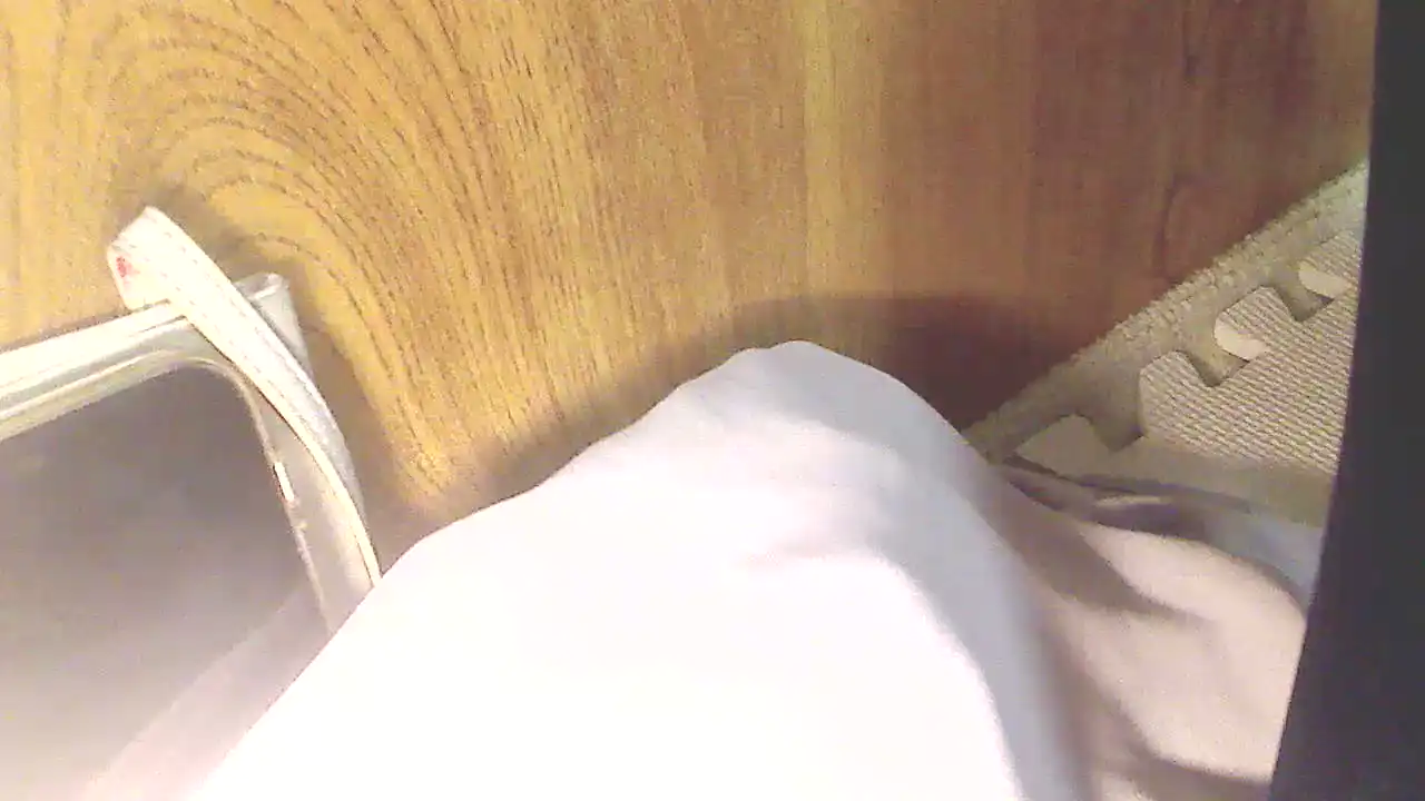 Hiyokosss – SakuraliveLive Video Recording – 2025 02-15 10:49:07