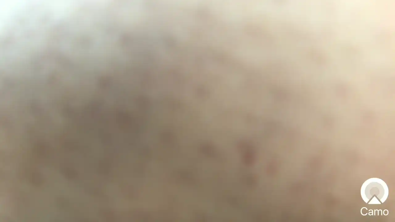 Riinapussy – SakuraliveLive Video Recording – 2025 03-24 00:05:29