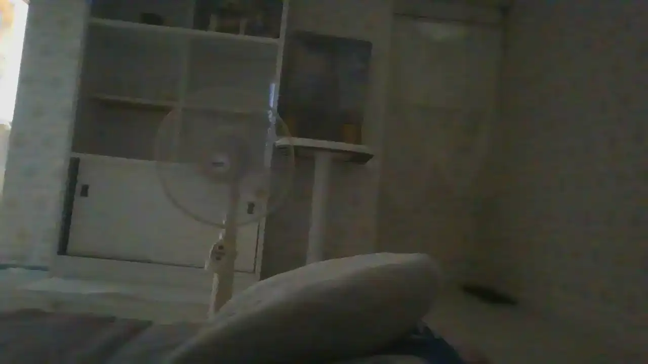 Leacat – SakuraliveLive Video Recording – 2025 01-17 08:33:02