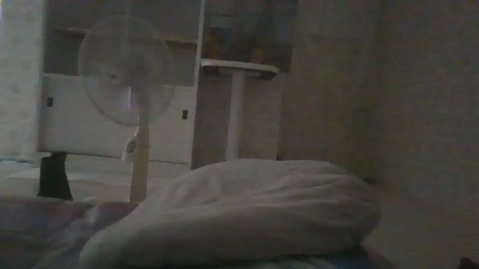 Leacat – SakuraliveLive Video Recording – 2025 05-29 08:31:43
