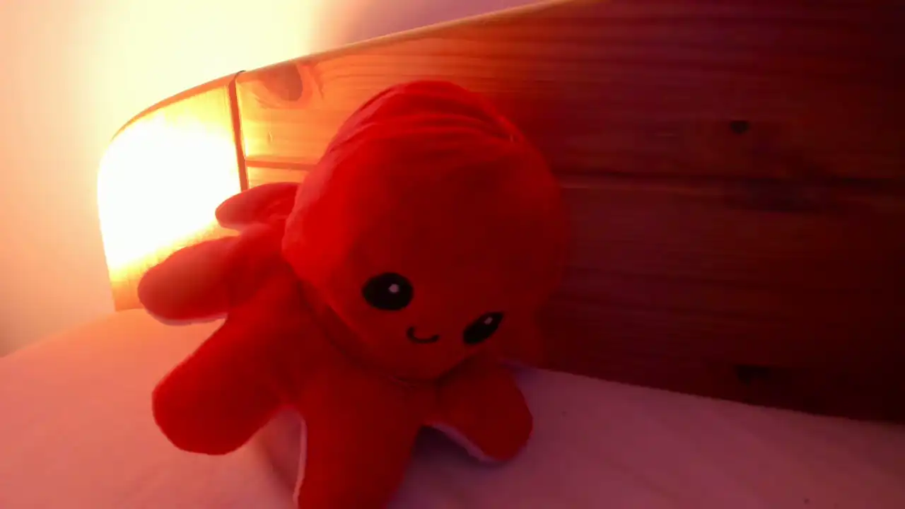 Vanillaisforicecram_ – ShowupLive Video Recording – 2025 06-23 24:27:46