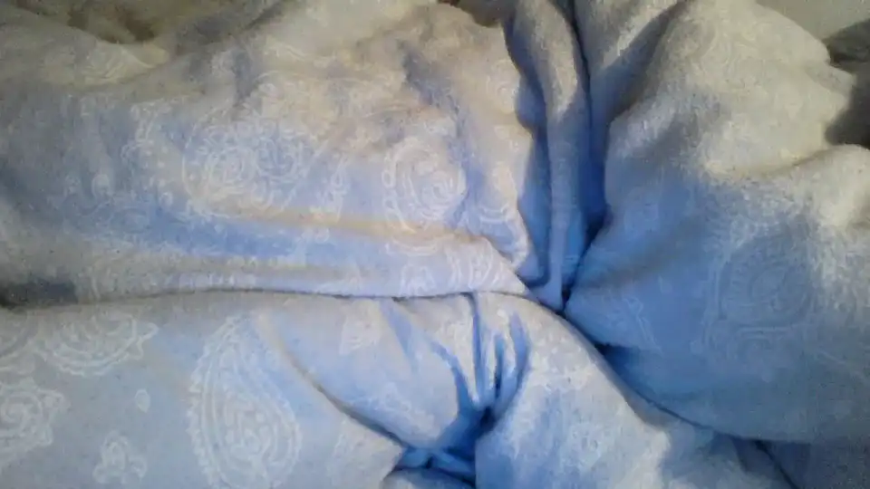 Gwiazda_ – ShowupLive Video Recording – 2025 05-27 03:39:34