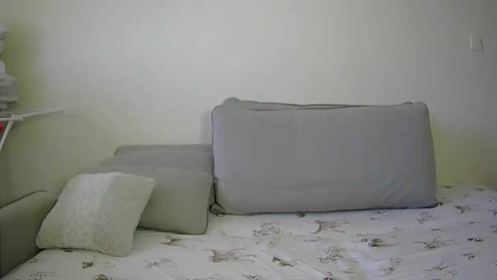 Amelka91 – ShowupLive Video Recording – 2025 02-13 10:60:24