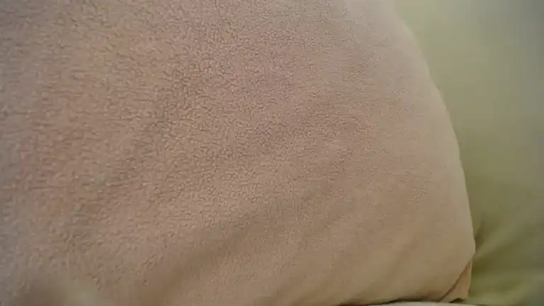 Annabelleflowers – StreamateLive Video Recording – 2025 03-07 00:43:23