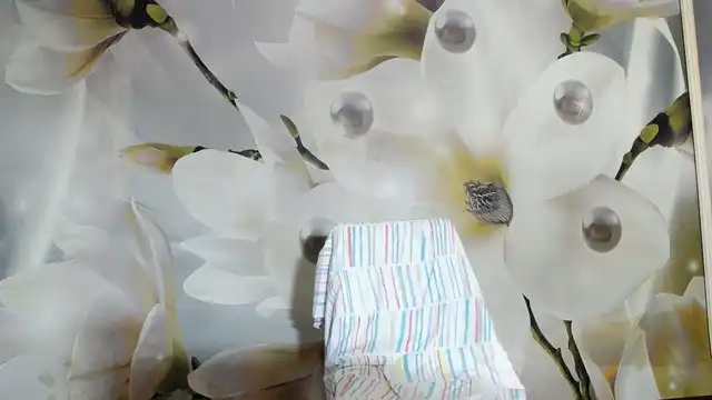 Andrad – XlovecamLive Video Recording – 2025 04-02 06:40:25