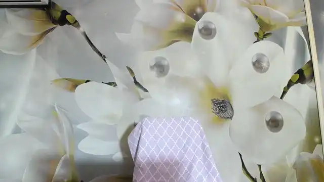 Andrad – XlovecamLive Video Recording – 2025 06-18 22:60:51